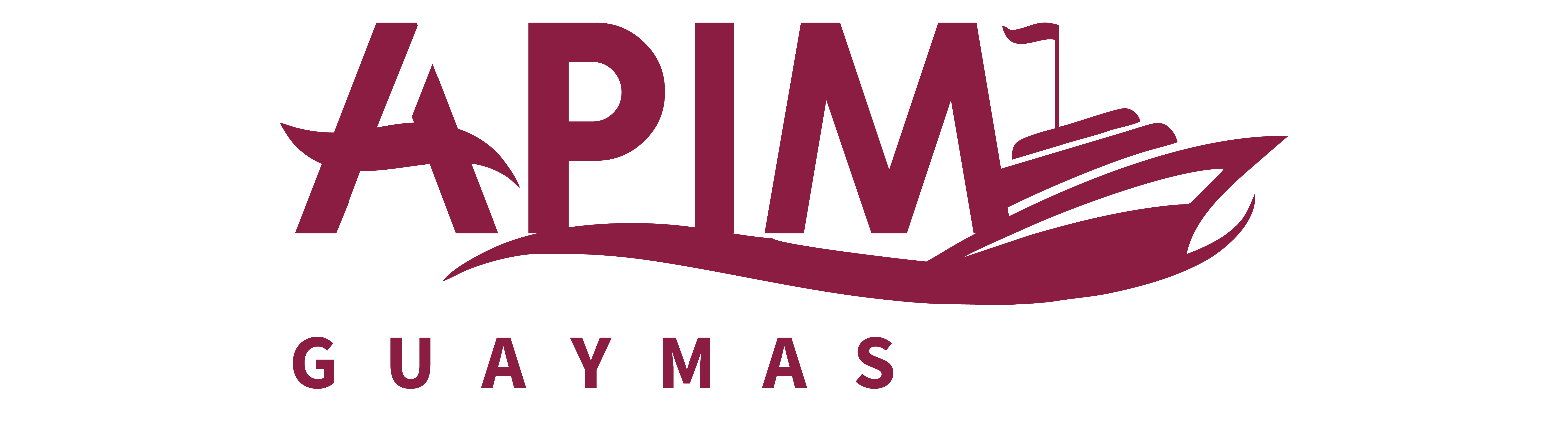 Administración Portuaria Integral Municipal (APIM)